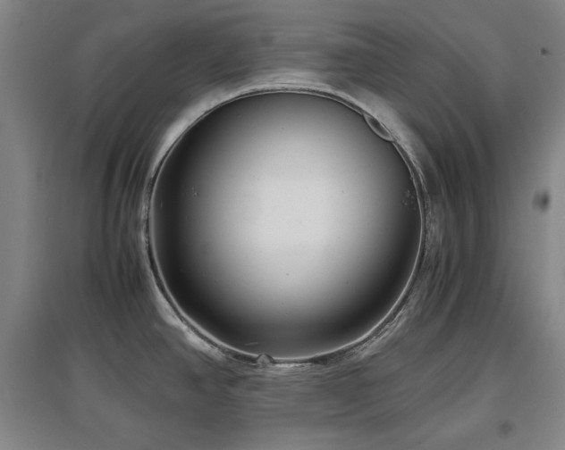 X0000097481390200802221342