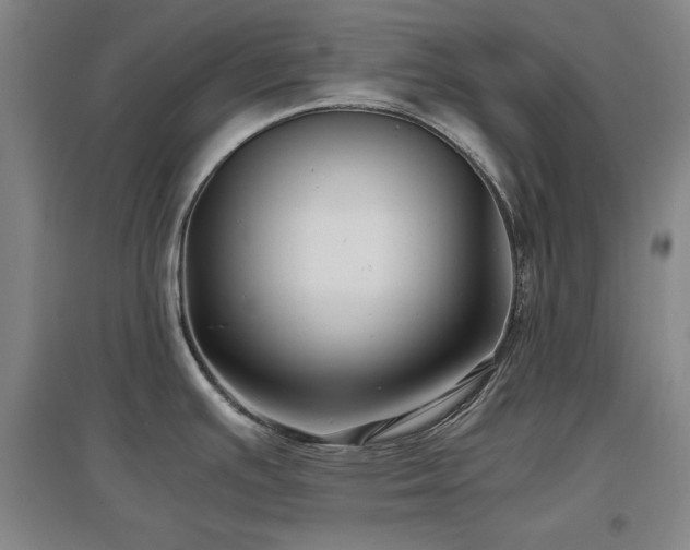 X0000097481391200802221342