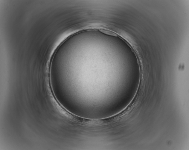 X0000097481392200802221342