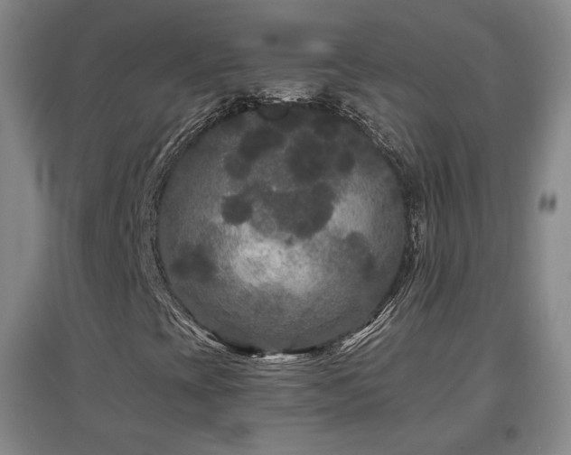 X0000097481393200802221341