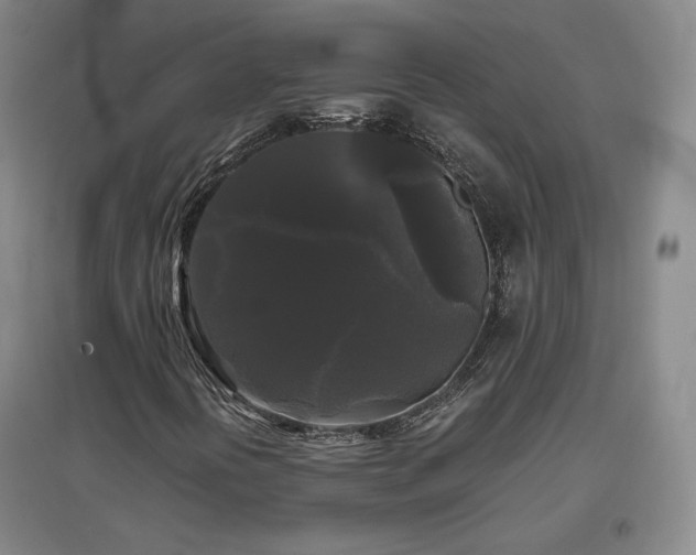 X0000097481394200802221341
