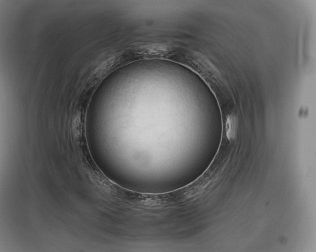 X0000097481395200802221341