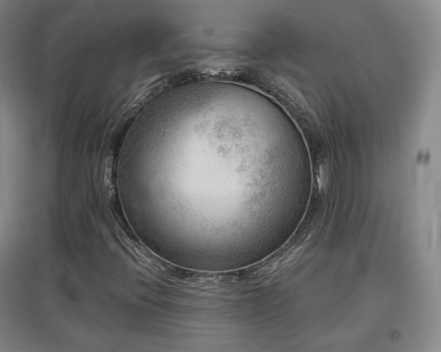 X0000097481396200802221341
