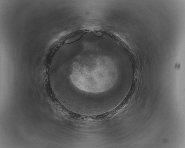 X0000097481398200802221341