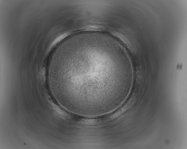 X0000097481402200802221341