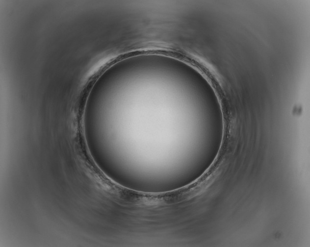 X0000097481407200802221341