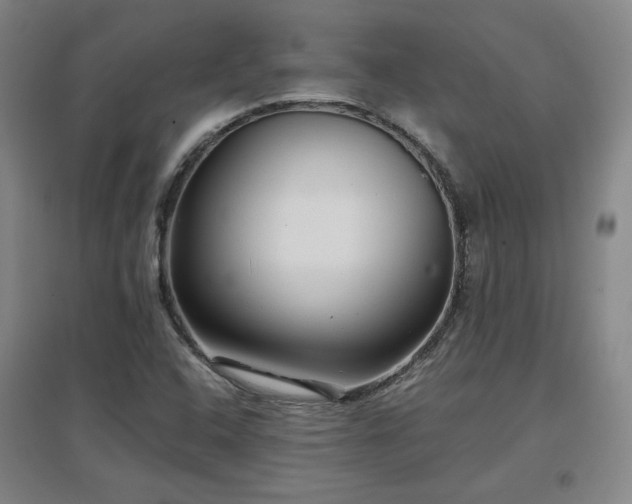 X0000097481408200802221341