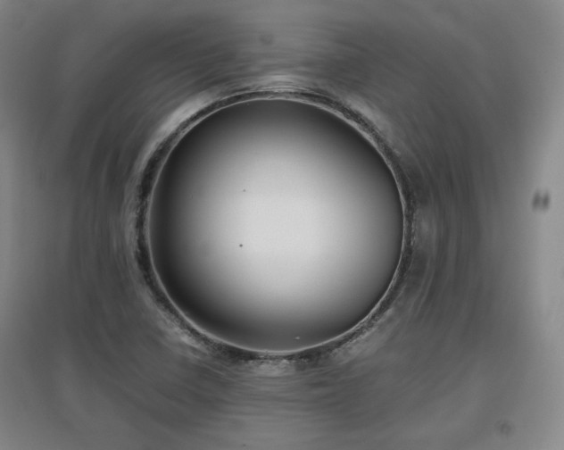 X0000097481410200802221341