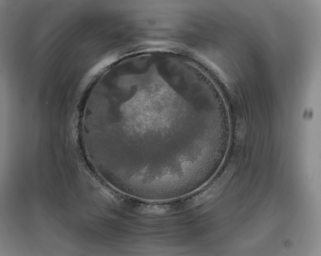 X0000097481411200802221342