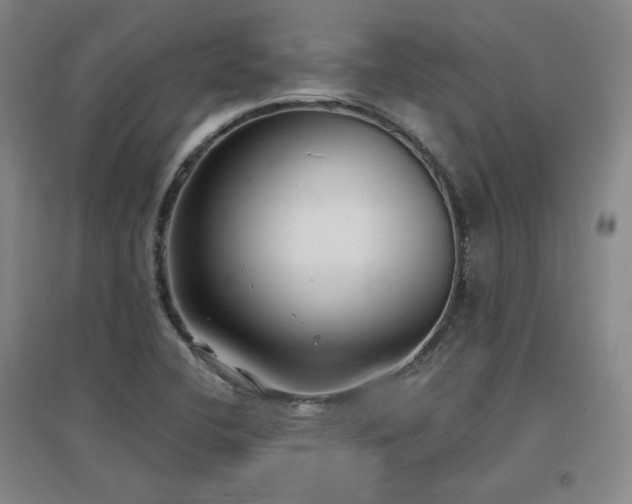 X0000097481412200802221342