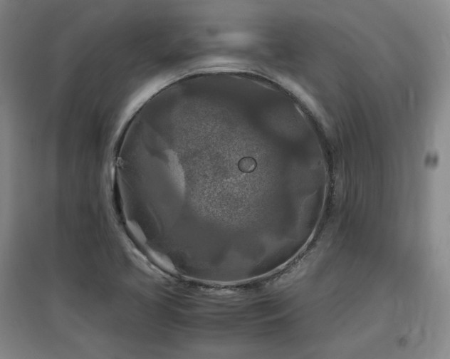 X0000097481413200802221342