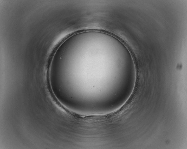 X0000097481416200802221342