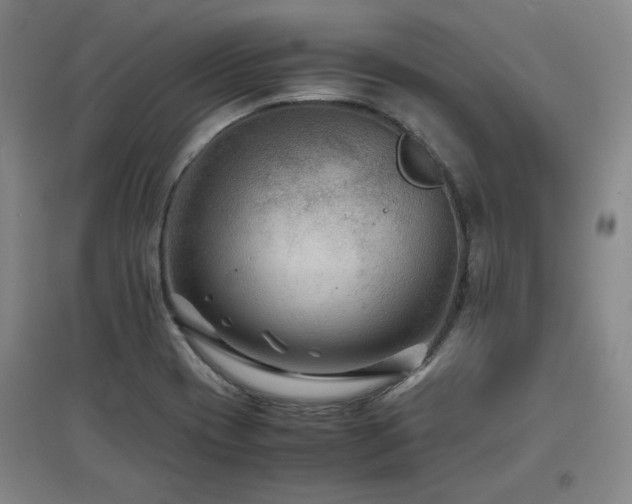 X0000097481417200802221342