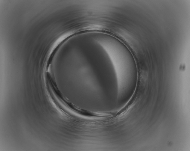 X0000097481418200802221342