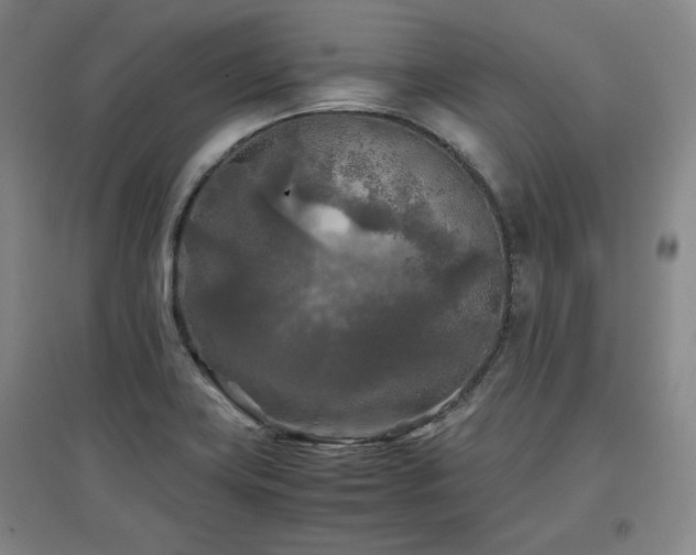 X0000097481419200802221342