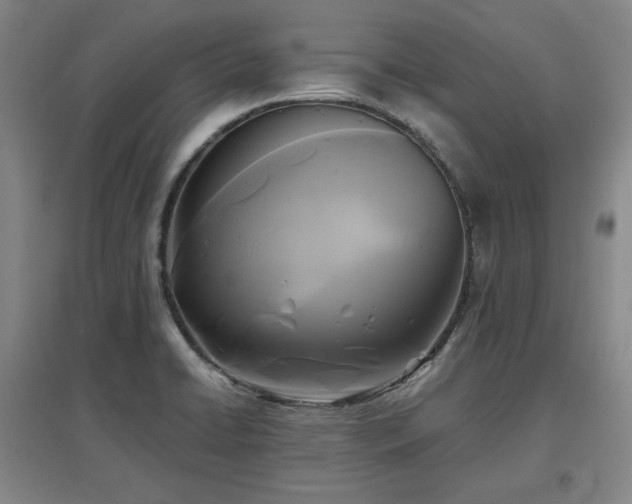 X0000097481422200802221342