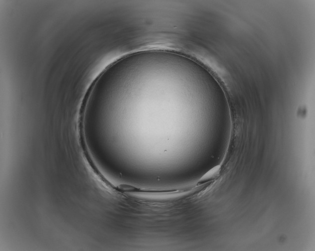 X0000097481423200802221342