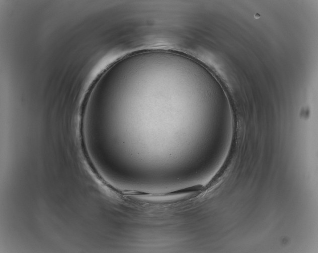 X0000097481424200802221342
