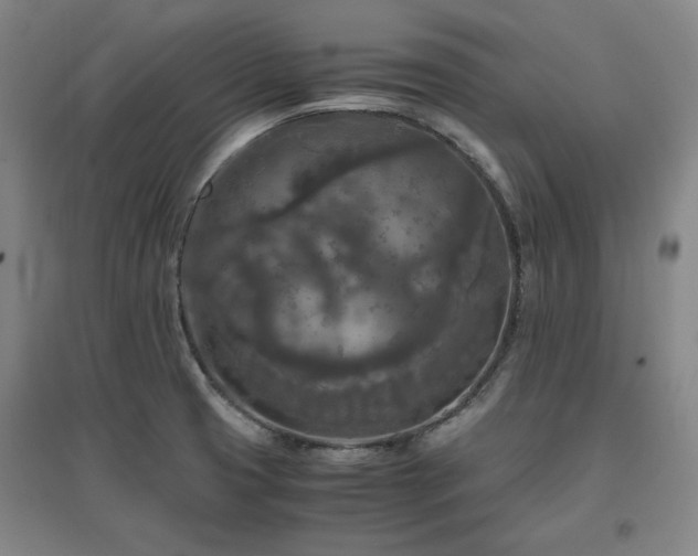 X0000097481425200802221342