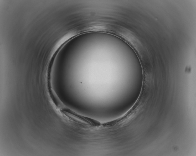 X0000097481426200802221342