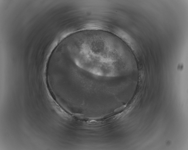 X0000097481427200802221342