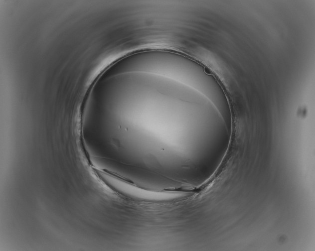 X0000097481428200802221342