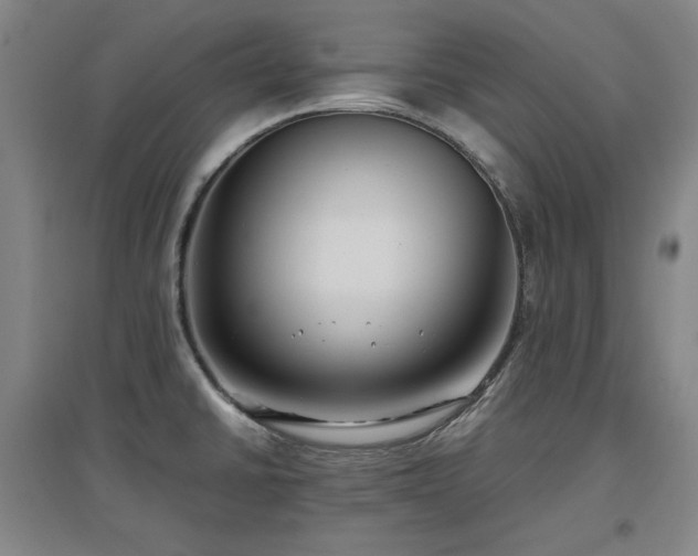 X0000097481430200802221342