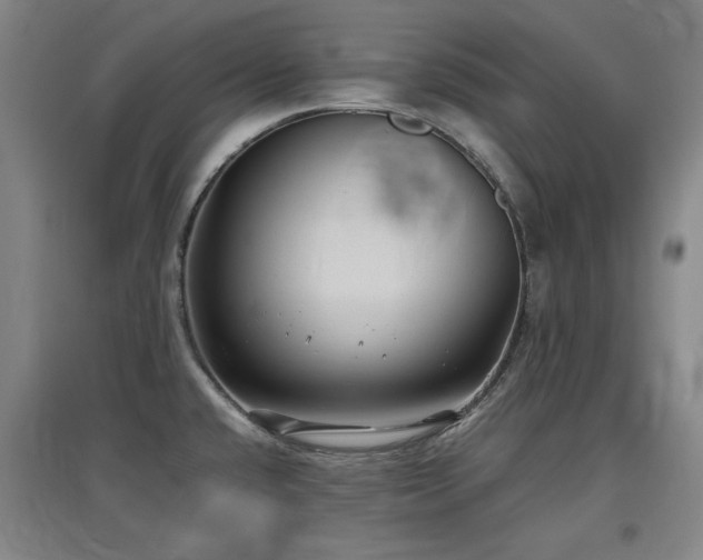 X0000097481432200802221342