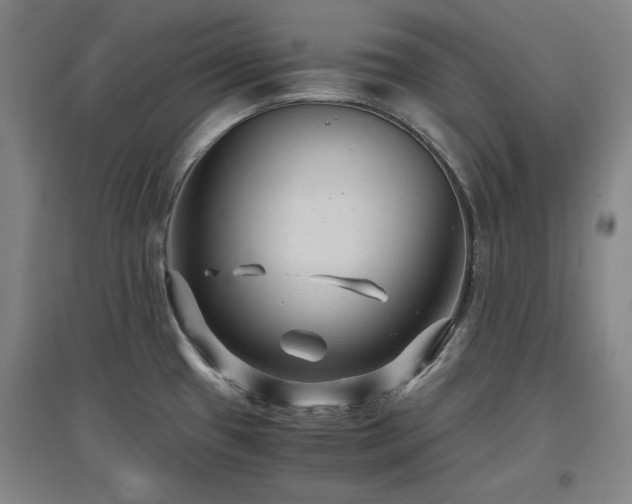 X0000097481433200802221342