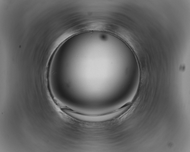 X0000097481434200802221342