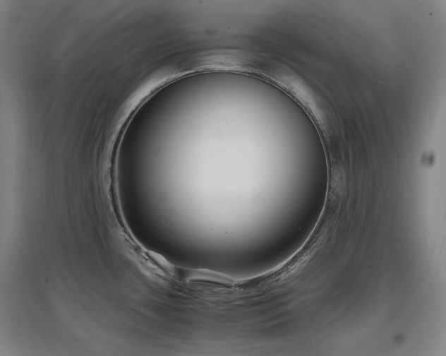 X0000097481435200802221342