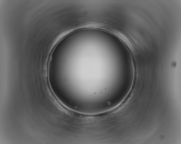 X0000097481436200802221342