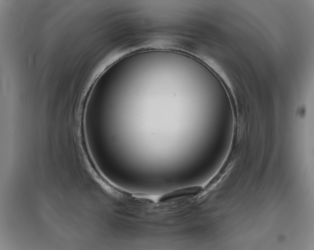 X0000097481437200802221342