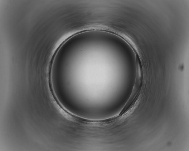 X0000097481438200802221342