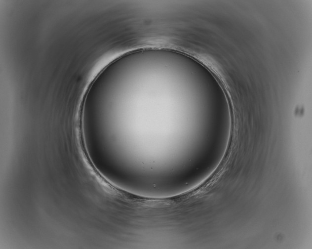 X0000097481440200802221342