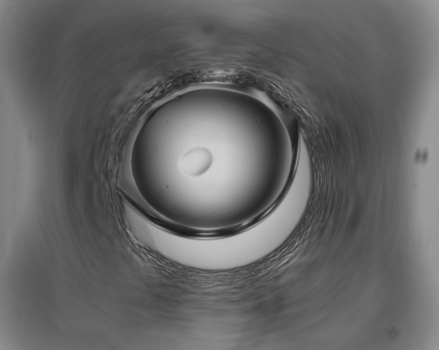 X0000097481441200802221341