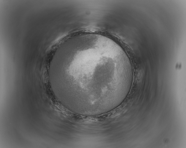 X0000097481446200802221341