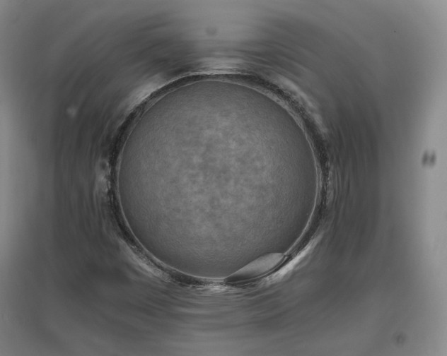 X0000097481449200802221341