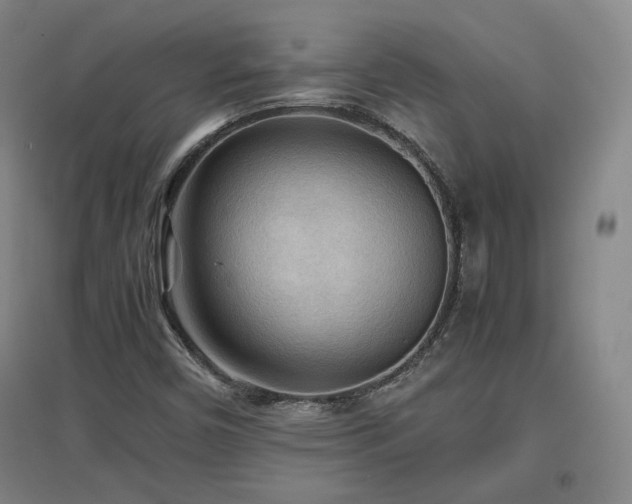 X0000097481450200802221341