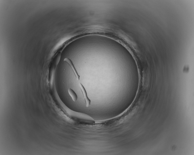 X0000097481453200802221341