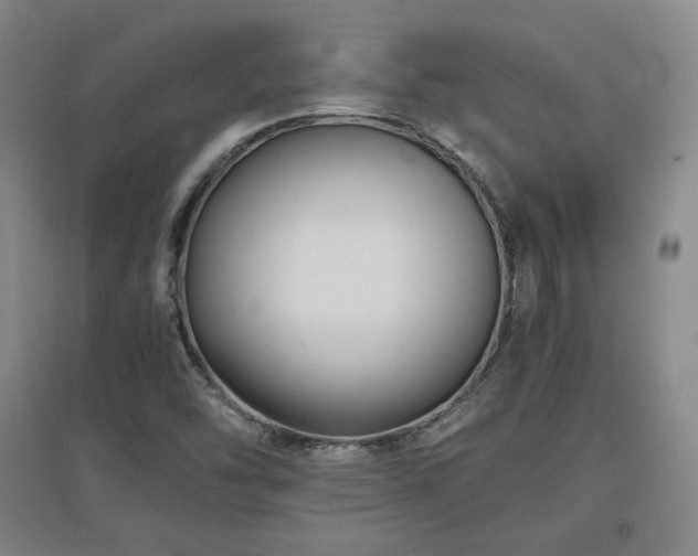 X0000097481454200802221341