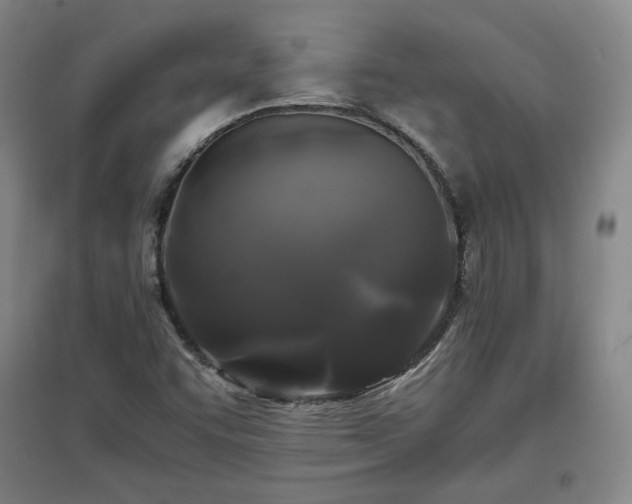 X0000097481455200802221341