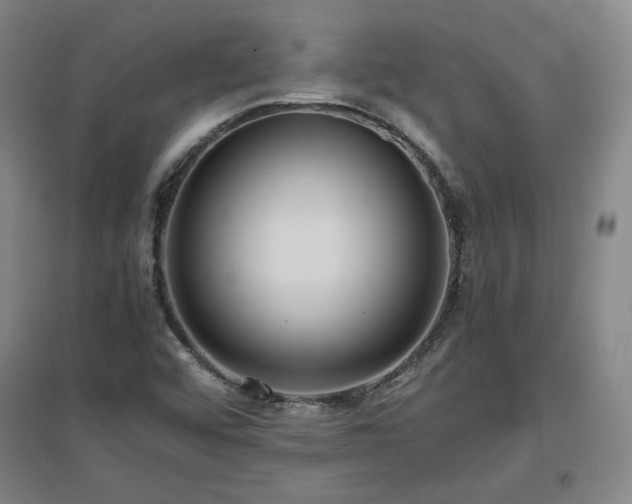 X0000097481456200802221341