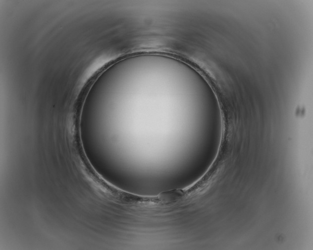 X0000097481458200802221341