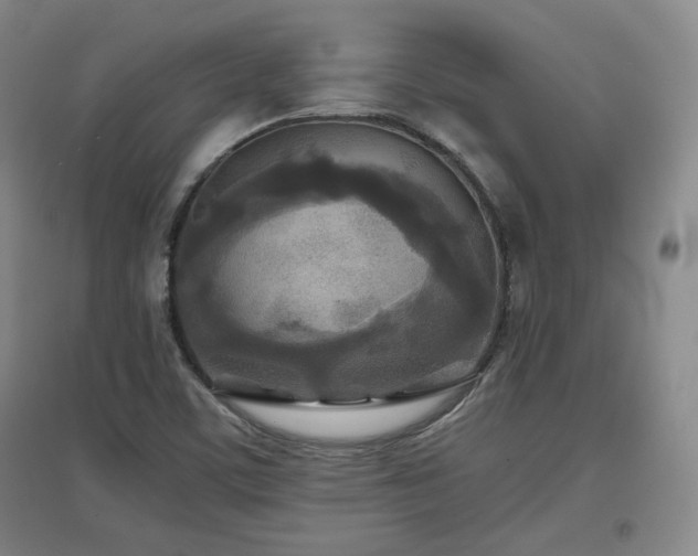 X0000097481459200802221341