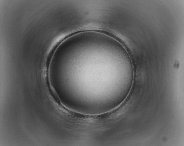 X0000097481461200802221341
