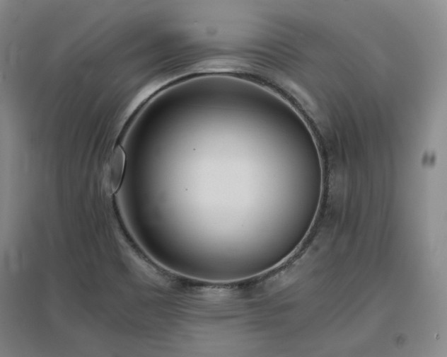X0000097481465200802221341