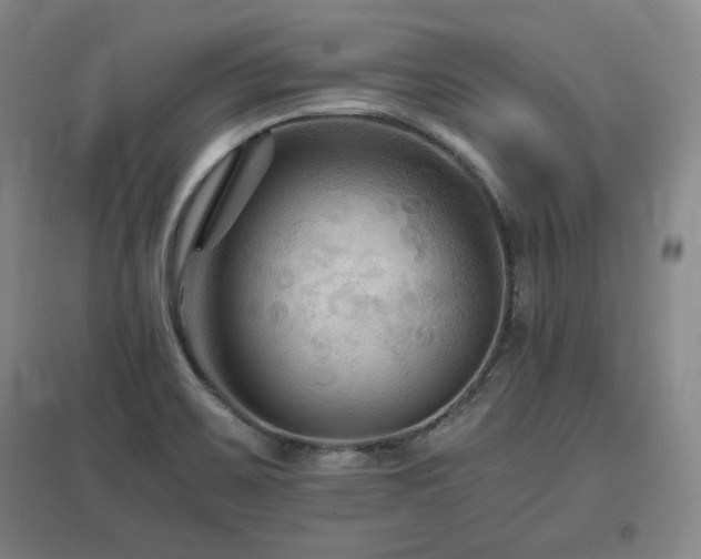 X0000097481467200802221341