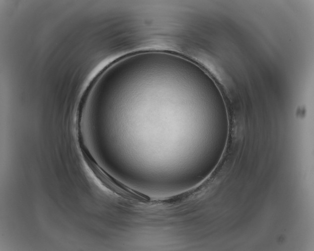 X0000097481468200802221341