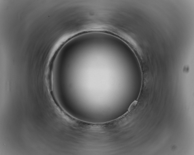 X0000097481472200802221341